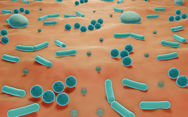 Why Is Skin Microbiome Important For Your Health?