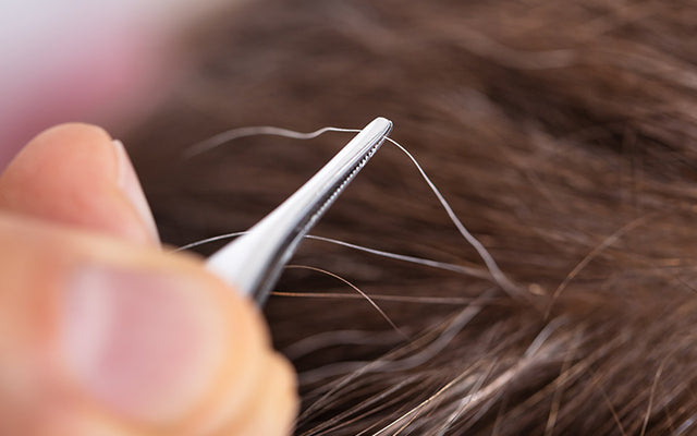 Does Plucking White Hair Lead To More Greying?