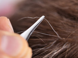 Does Plucking White Hair Lead To More Greying?