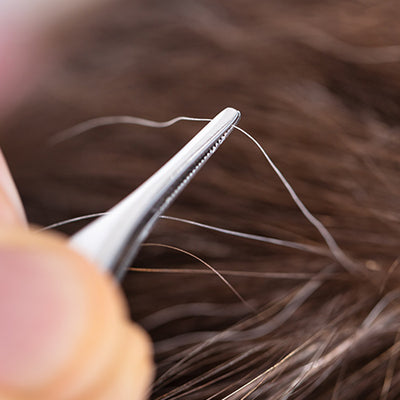Does Plucking White Hair Lead To More Greying?
