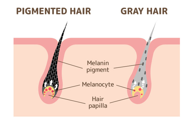6 Ways To Naturally Boost Melanin In Your Hair