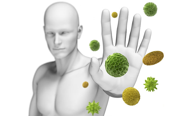 The Different Types Of Immunity & Why You Need To Know About Them