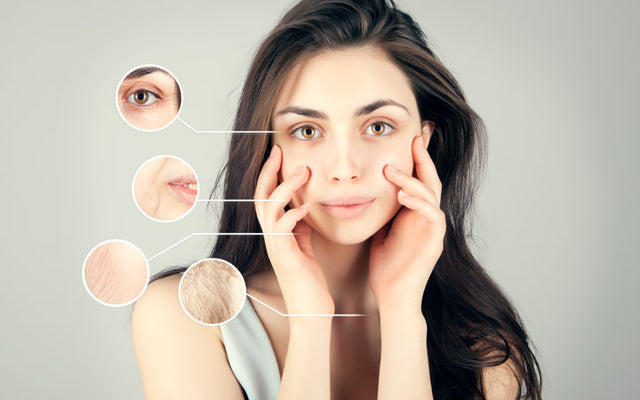 Anti-Aging