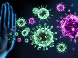 Understanding The Differences Between Innate And Adaptive Immunity