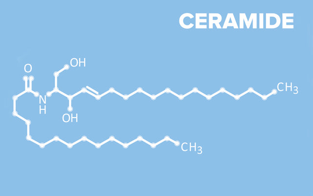 Why Should You Be Adding Ceramides To Your Skin Care?
