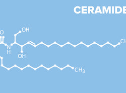 Why Should You Be Adding Ceramides To Your Skin Care?