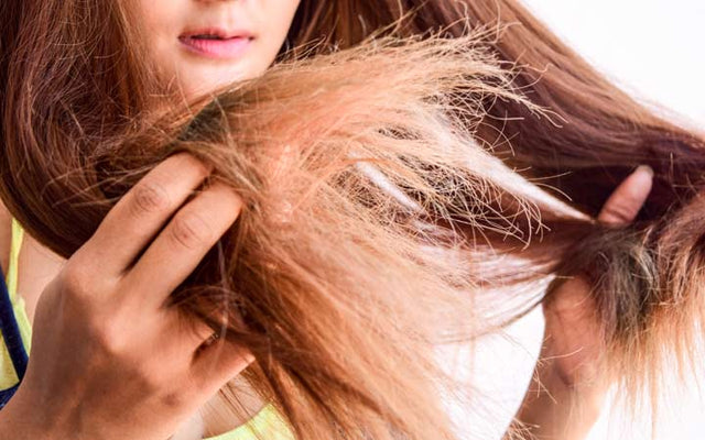 Dry Hair Woes: Why & How You Can Fix It – SkinKraft