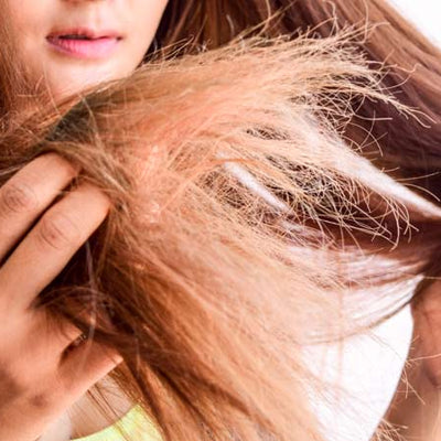 Dry Hair Woes: Why & How You Can Fix It