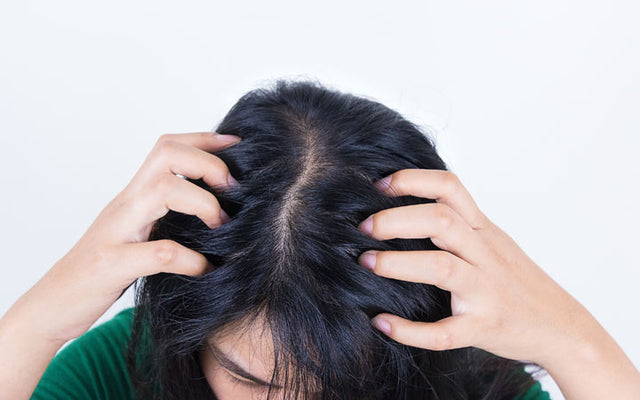 Dry Hair Ends: Causes and How to Treat | Be Beautiful India