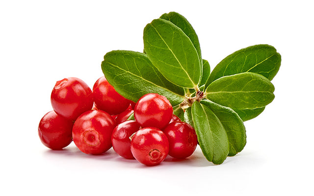 The Beauty Secrets Of Lingonberries
