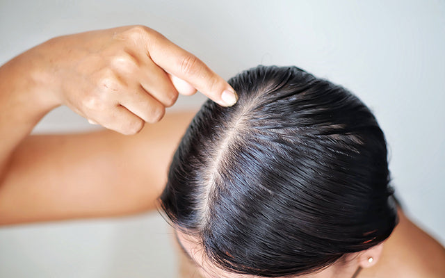 ऑयली बालों की देखभाल - Oily Hair Care Tips In Hindi