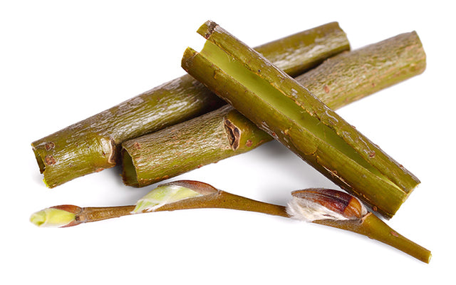 Why Willow Bark Extract Is Great For Skin + How To Use