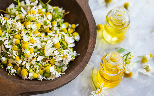 Top 6 Reasons To Use Chamomile for Skin