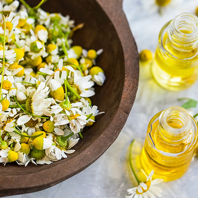 Top 6 Reasons To Use Chamomile for Skin