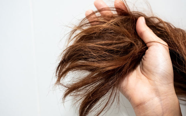 Porosity 101 Guide to Healthy Hair – Urban Hydration