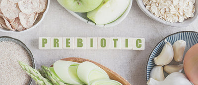 How Do Prebiotics Benefit Your Skin?