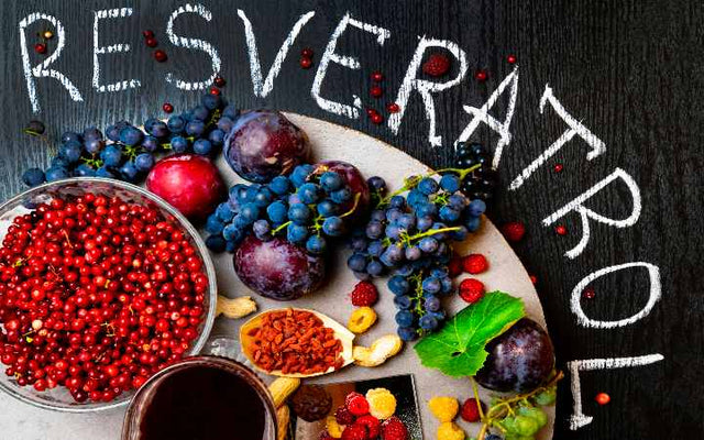 blog-1-1 Resveratrol In Skin Care: Benefits, Uses & Side Effects – SkinKraft