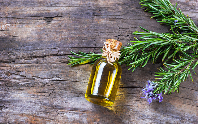 How To Use Rosemary Oil For Hair Growth?