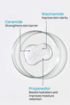 Barrier Repair Serum With 3% Propanediol & 1% Ceramides