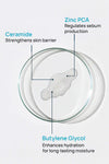Barrier Revitalizing Lotion With 0.5% Phytospingosine & 1% Ceramides