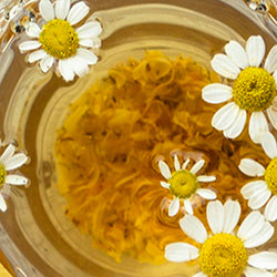 Chamomile Extract