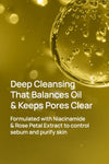 Deep Facial Cleanser With 0.1% Aloe Vera & 4% Niacinamide