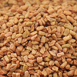 Fenugreek Oil