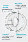 Colloidal Oatmeal And Seaberry Pre+Probiotic Skin Repair Night Cream With 0.1% Oatmeal & Seaberry
