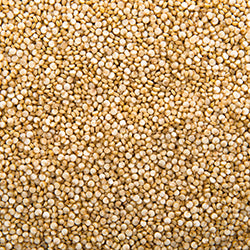 Quinoa