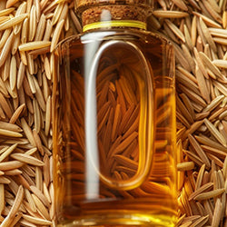 Wheat Germ Oil