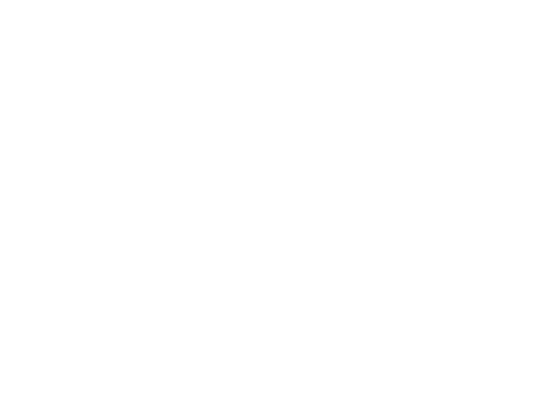 why-skinkraft